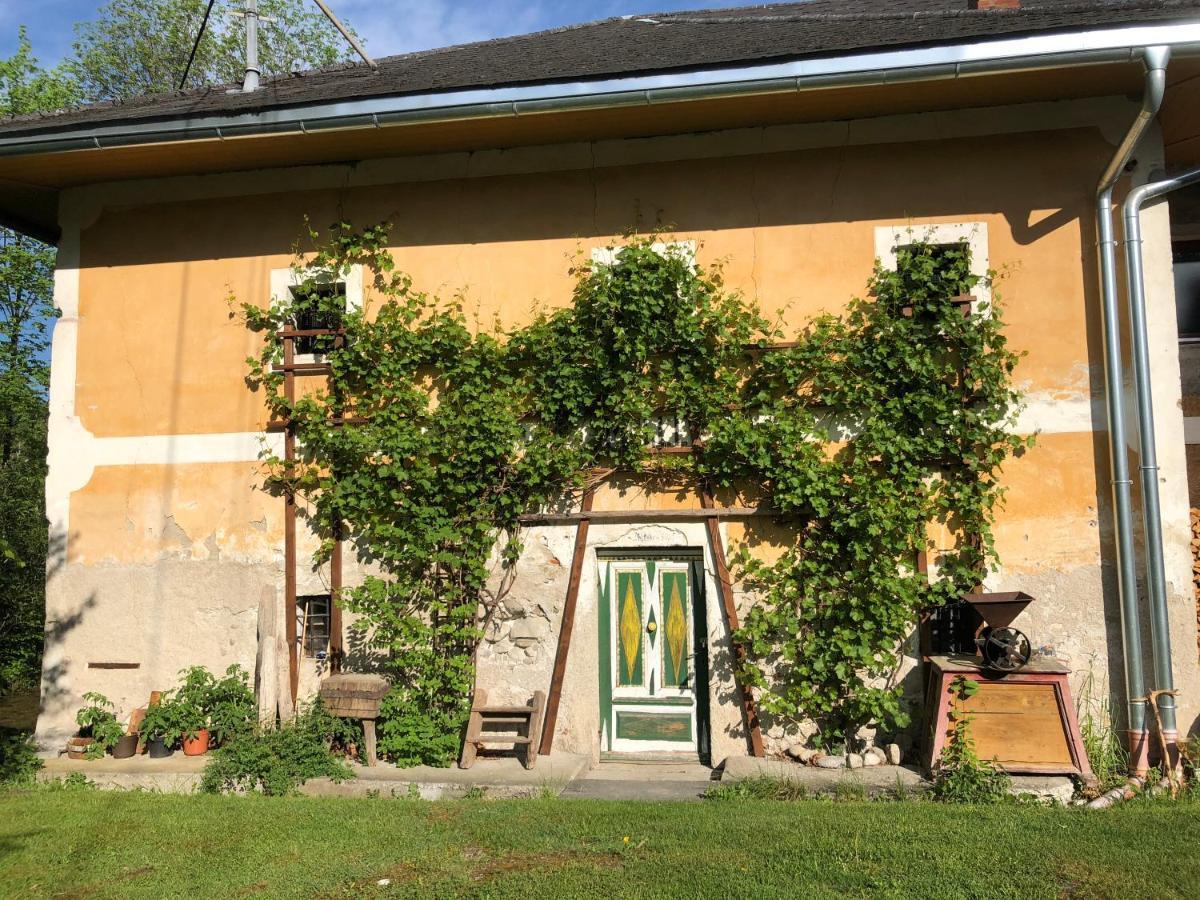 Ferienwohnung Klampfermuehle Vorchdorf Eksteriør billede